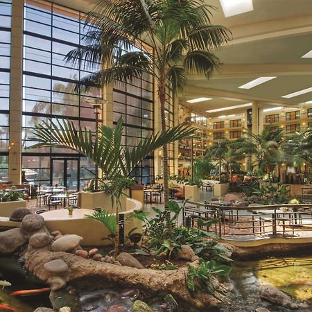 Embassy Suites By Hilton Phoenix Biltmore Εξωτερικό φωτογραφία